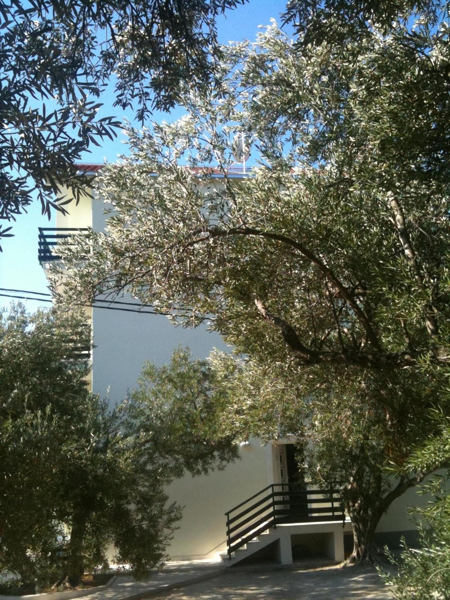Apartments Sea View Omiš Exterior foto